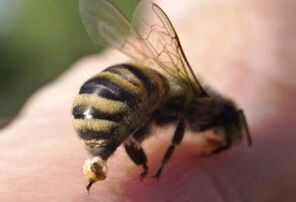 Comment augmenter un membre à la maison