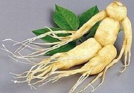 Racine de ginseng pour faire une infusion