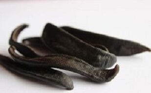 Sangsues séchées pour faire une pommade.